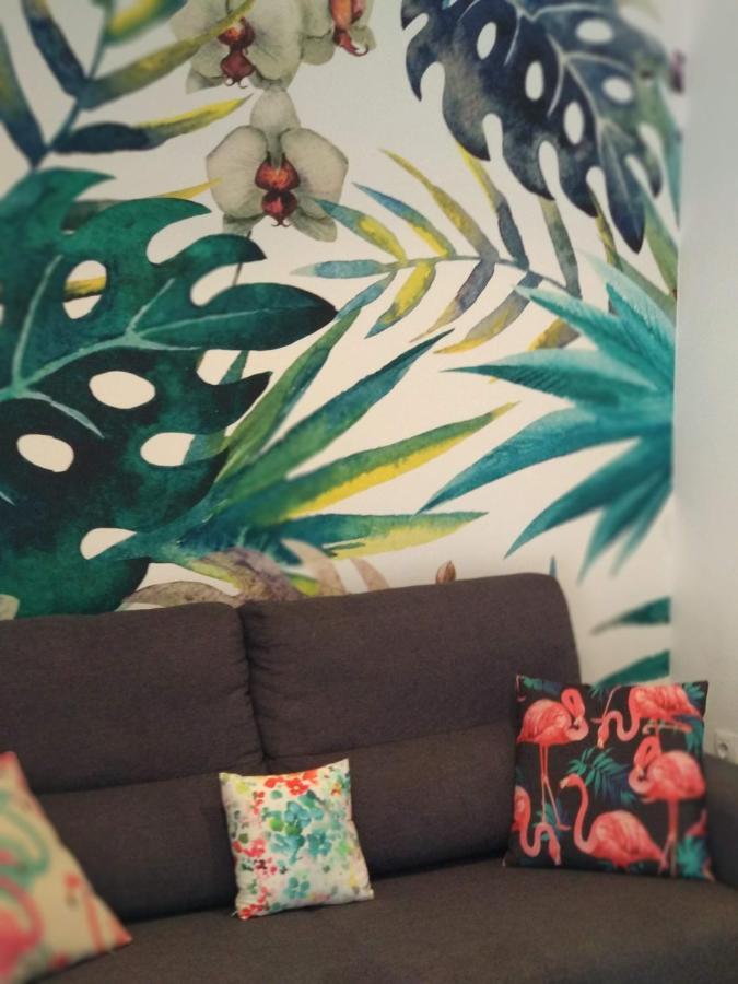 Apartmán Atico Fenicia Cádiz Exteriér fotografie